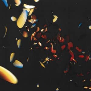 Will Gardner - Blossom