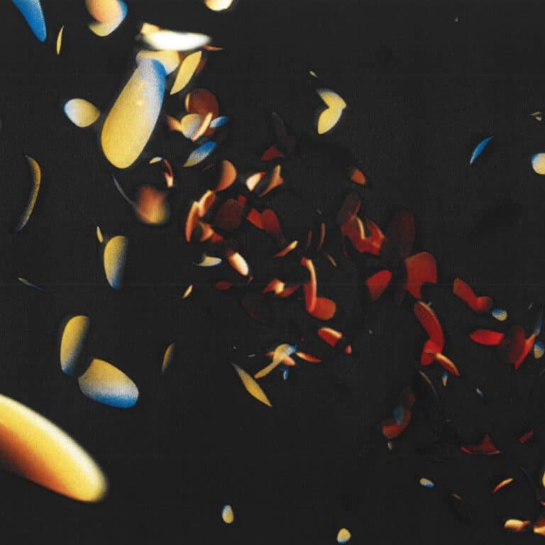 Will Gardner - Blossom