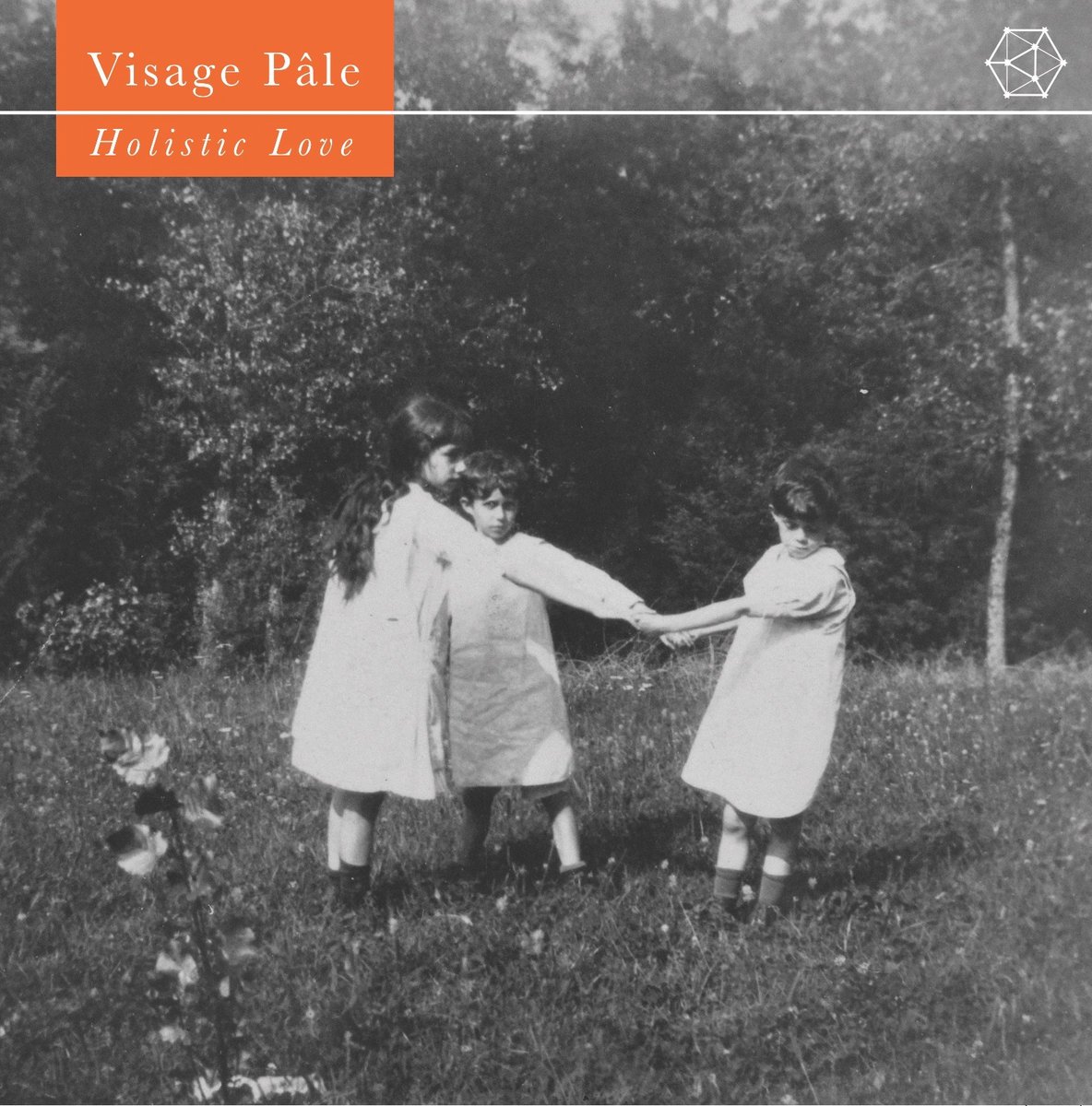 visage pale - holistic love